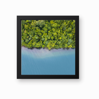 Selva y Mar